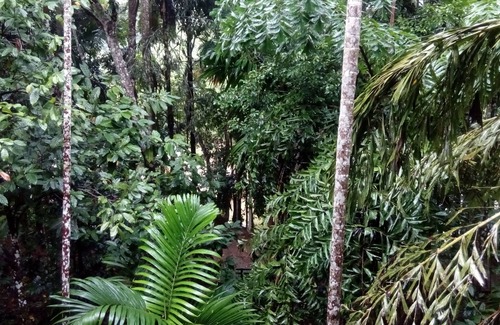 Embilipitiya House | ECO FOREST VILLA - A HOMESTAY FAMILY HOUSE WITH NATURE BEAUTIES