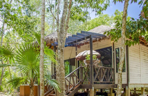 Leona Vicario Cabin | Eco friendly cabin & jacuzzi | Ruta de los Cenotes