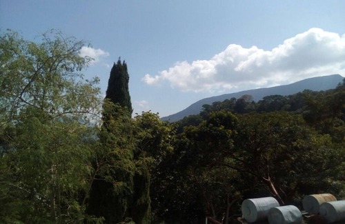 Pluma Hidalgo Hotel | Eco Hotel El Refugio, In the mountains but near the sea. - ROOM 4