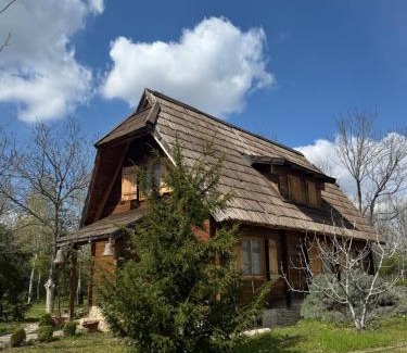 Novi Sad Villa | Eco Hotel