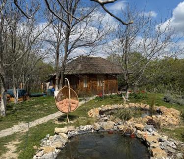 Novi Sad Villa | Eco Hotel