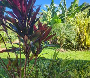 Tarso Hotel | Eco hotel Torino