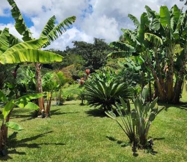 Tarso Hotel | Eco hotel Torino