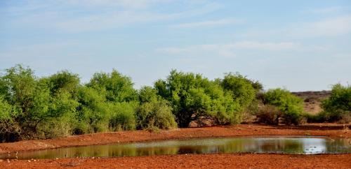 Joe Morolong Cabin | Eco-Lodge Gamagara Africa