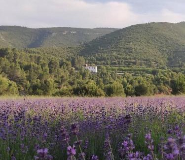 Aielo de Malferit House | Eco Maset, alojamiento rural rodeado de naturaleza
