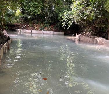 Curuca House | Eco sítio encontro das águas