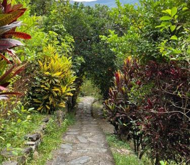 Santa Teresa Other | Eco Terra Lodge