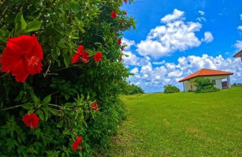 Iriomote-jima Taketomi-cho Hotel | Eco Village Iriomote - Vacation STAY 72060v