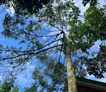 Alajuela House | Eco Villas Tambor Tucanes