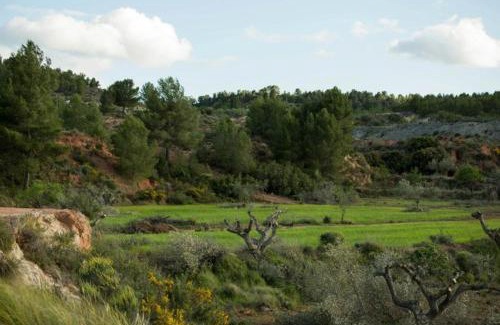 Cehegin Villa | Ecoagroturismo Las Nieves