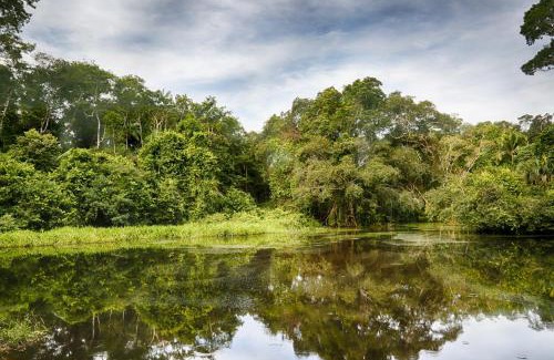 Las Piedras Cabin | Ecoamazonia Lodge
