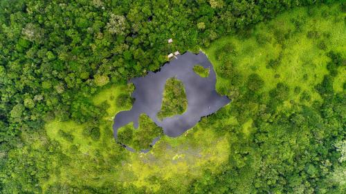 Las Piedras Cabin | Ecoamazonia Lodge
