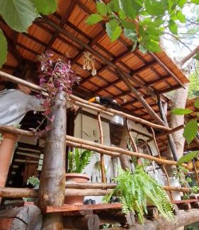 Sao Pedro Cabin | Ecocentro Brasil - Bangalô Flamboyant