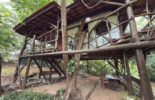 Sao Pedro Cabin | Ecocentro Brasil - Bangalô Flamboyant