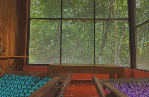Xpujil Bed & Breakfast | Ecohabitat