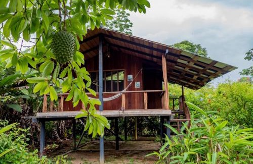 Bahia Solano Cabin | Ecohotel Riomar Mecana