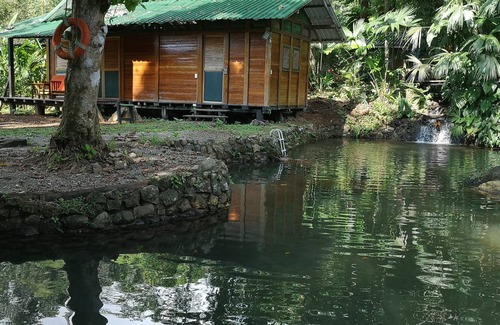 Bahia Solano Hotel | ECOLODGE EL ALMEJAL