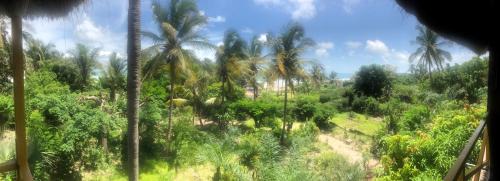 Cap Skirring House | ECOLODGE SAFARI