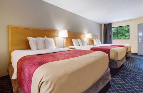 Gold Rock Hotel | Econo Lodge Battleboro - Rocky Mount I-95