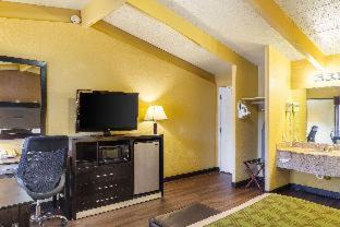 Chinchilla Cabin | Econo Lodge Clarks Summit - Scranton