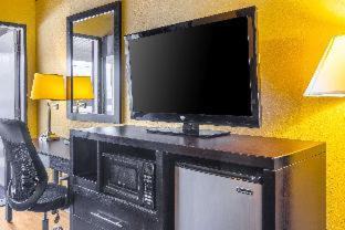 Chinchilla Cabin | Econo Lodge Clarks Summit - Scranton