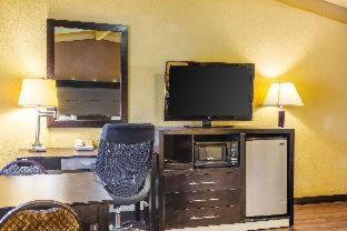 Chinchilla Cabin | Econo Lodge Clarks Summit - Scranton