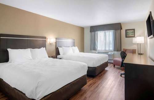 Springfield Hotel | Econo Lodge Inn & Suites