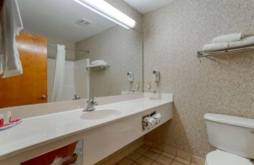 Flowood Hotel | Econo Lodge Inn & Suites Flowood - Jackson Northwest