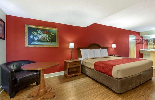 Lugoff Hotel | Econo Lodge Inn & Suites Lugoff