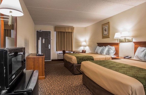 Lugoff Hotel | Econo Lodge Inn & Suites Lugoff