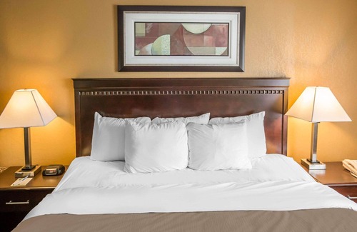Monroe Hotel | Econo Lodge Inn & Suites Monroe