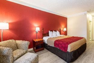 Douglasville Hotel | Econo Lodge Inn & Suites Douglasville