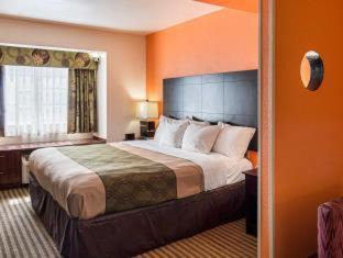 Natchitoches Hotel | Econo Lodge Inn & Suites Natchitoches