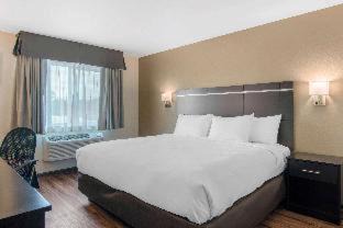 Springfield Hotel | Econo Lodge Inn & Suites