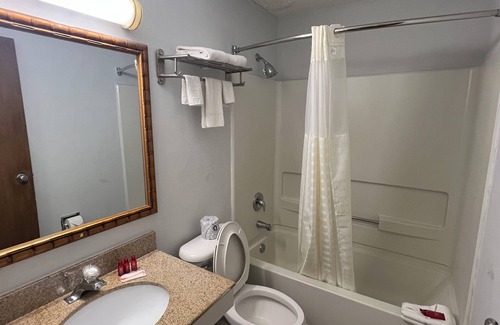 North Camellia Acres Hotel | Economy 7 Inn - Norfolk