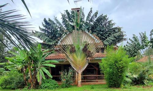 Langata House | Edaala Comfort - B&B