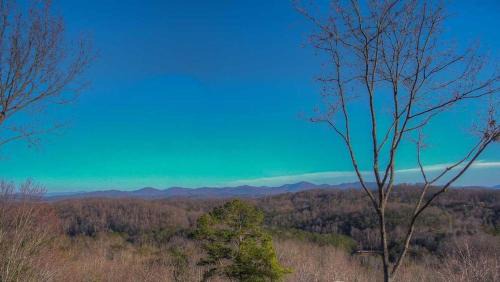 Blue Ridge House | EddieBear