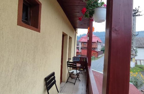 Borsec House | Edelweis Floare de Colt