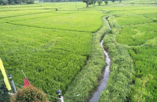 Rambukkana House | Eden lodge