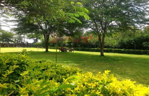 Isinya House | Eden Park Lounge