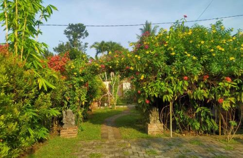 Borobudur House | Efata Homestay