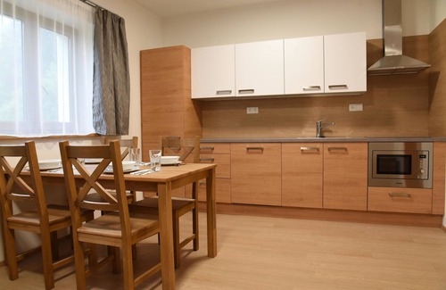 Horni Lipova Apartment | EFI ApartHotel Horní Lipová