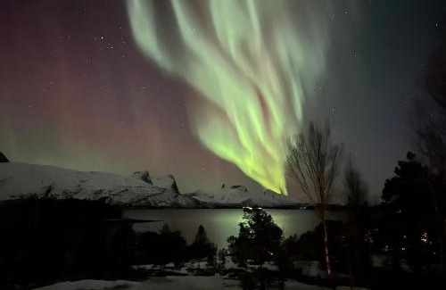 Ballangen House | Efjord and Stetind Resort - Cabin Stetind
