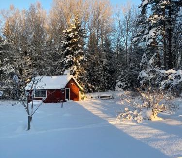 Norrtalje Bed & Breakfast | Egen stuga med delat badrum