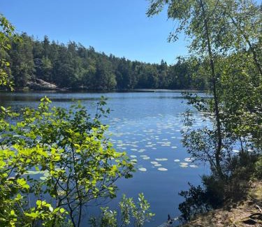 Tyreso House | Eget hus i Tyresö Trollbäcken, kanoter ingår.
