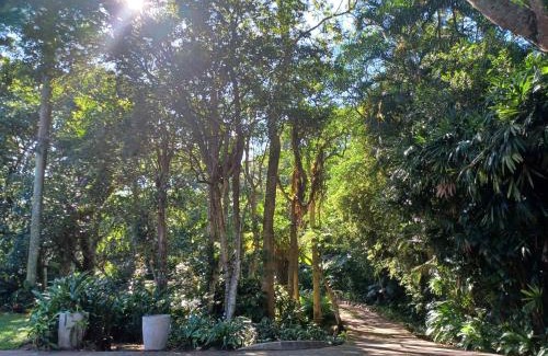 Pinetown Apartment | Eggersheim