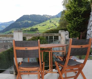 Zweisimmen Apartment | Eggetli
