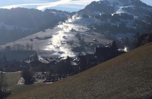 Zweisimmen Apartment | Eggetli