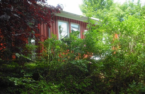 Bremke House | Eichhörnchen III
