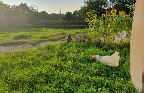 Huertgenwald Apartment | Eifel Glück